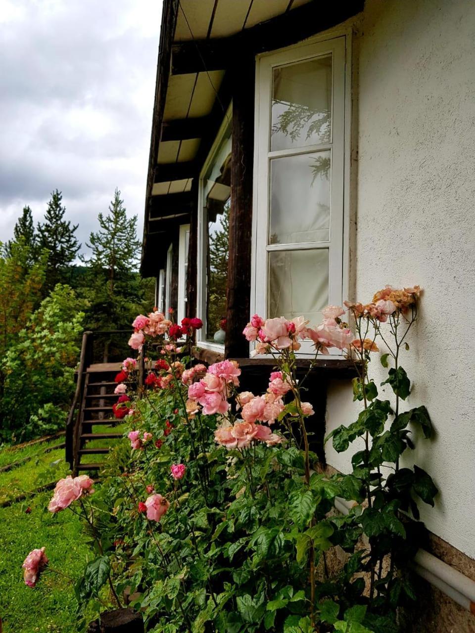 The Patagonian Lodge Койяїке Екстер'єр фото